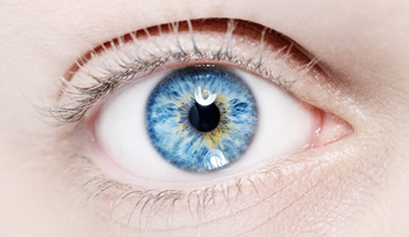 Cirugía de retina y vitrectomía